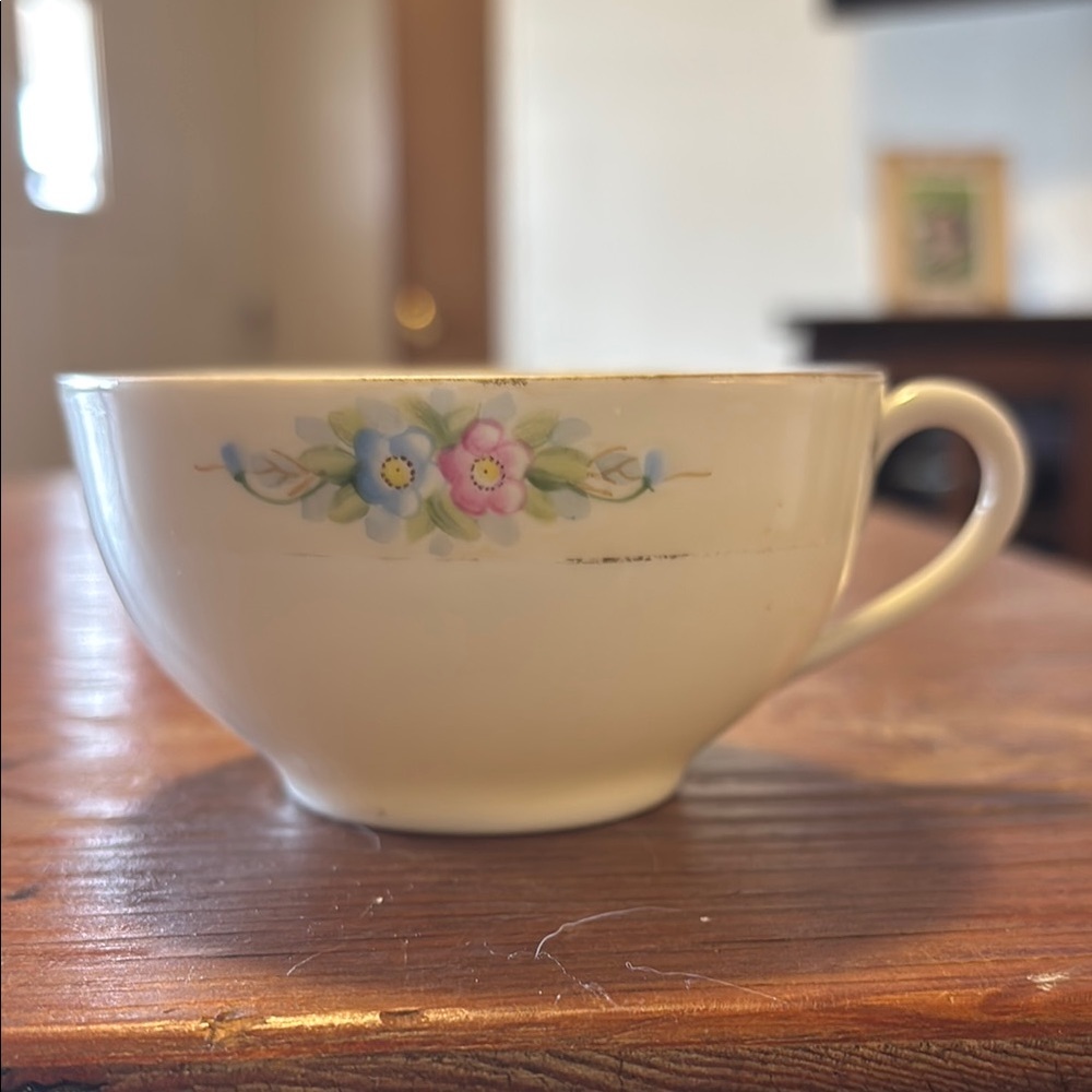 SEDAN NORITAKE HANDPAINTED VINTAGE Floral Teacup Blue and Pink Flowers